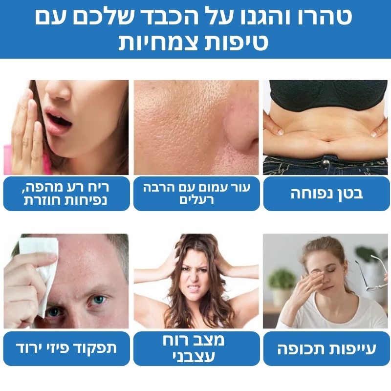 LiverRecovery™ | טיפות צמחיות לניקוי רעלים מהכבד 