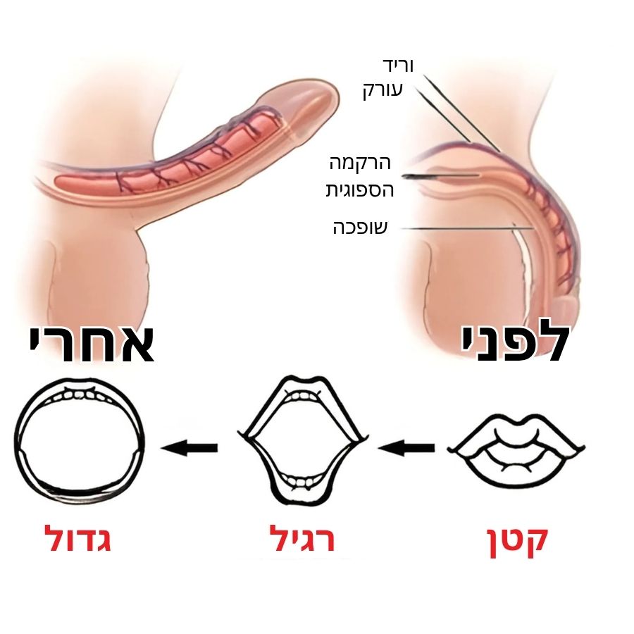 PeniGro™ | ג'ל הגדלה לגברים